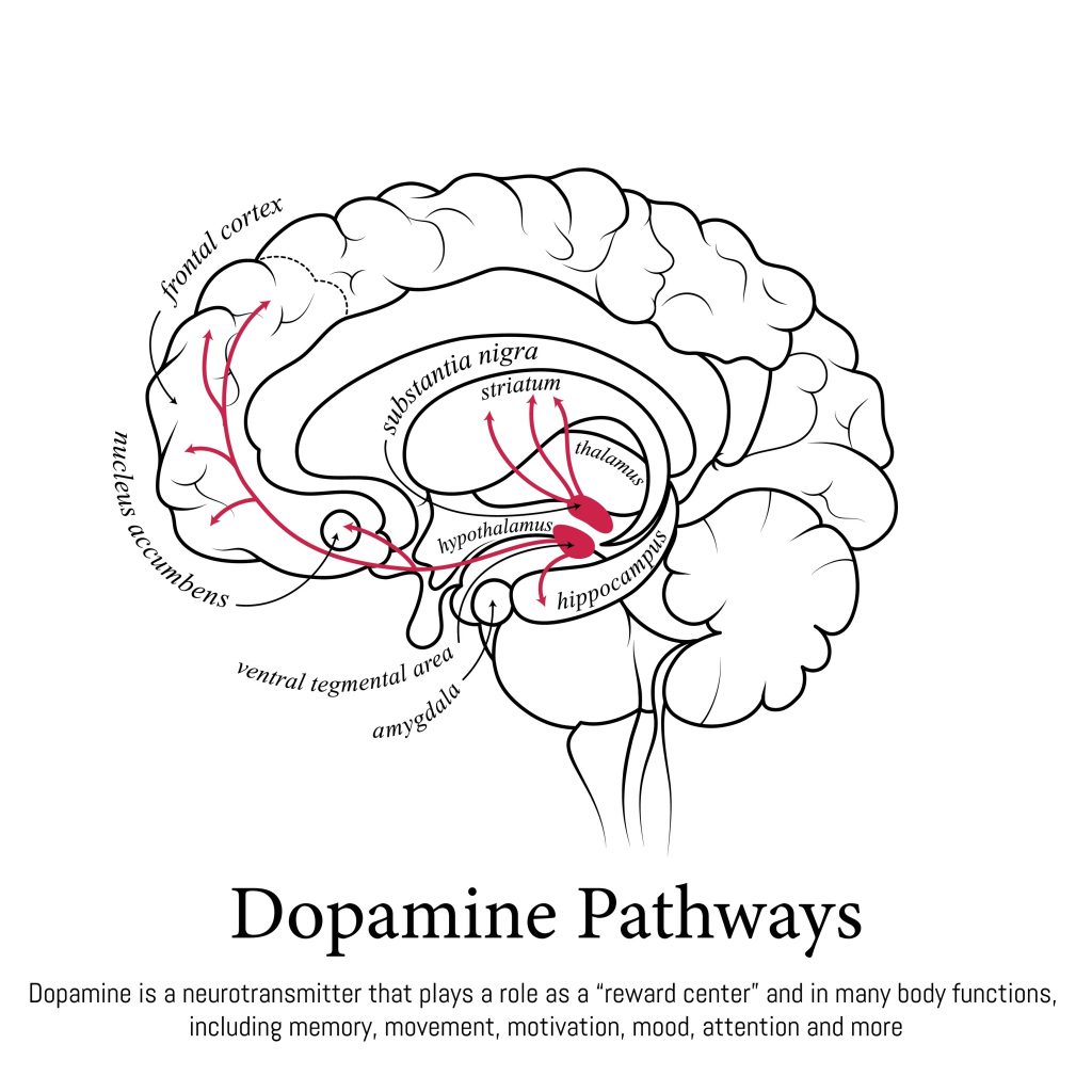 The Dopamine Trap: How “Educational” YouTube is Stealthily Short-Circuiting Your Kid’s Grit