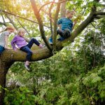 Risky Play: Why Keeping Kids Safe Is Making Them Fragile