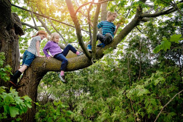 Risky Play: Why Keeping Kids Safe Is Making Them Fragile